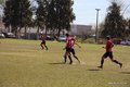 IMG_0411