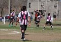 IMG_0477
