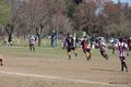 IMG_0470