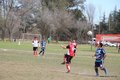 IMG_0587