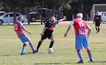 IMG_1186