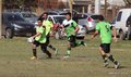 IMG_1252
