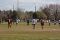 IMG_1236