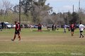 IMG_1239
