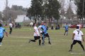 IMG_1384
