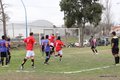 IMG_1353