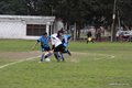 IMG_1378
