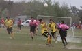 IMG_1361