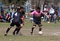IMG_1816