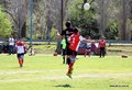 IMG_2106