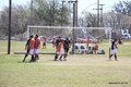 IMG_2238