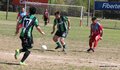 IMG_2124