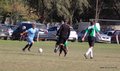 IMG_1895