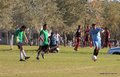 IMG_1909