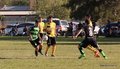 IMG_1951