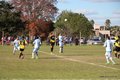 IMG_1920