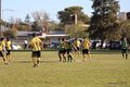 IMG_1952