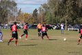 IMG_1871
