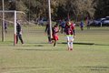 IMG_1941