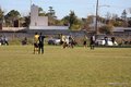 IMG_1965