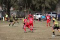 IMG_2069