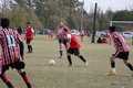 IMG_2137