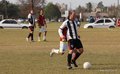 IMG_2082