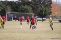 IMG_2093