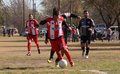IMG_2393