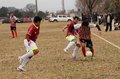 IMG_3041