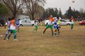 IMG_2965