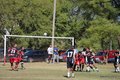 IMG_9767