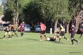 IMG_0503