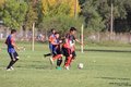 IMG_0520