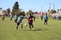 IMG_0979
