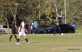 IMG_1300