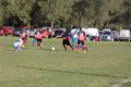 IMG_1390