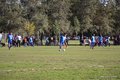 IMG_1406