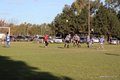 IMG_1340