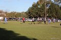 IMG_1341
