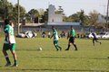 IMG_1368