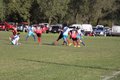 IMG_1388