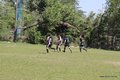 IMG_8785