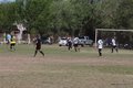 IMG_8796
