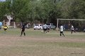 IMG_8795
