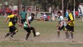 IMG_8803
