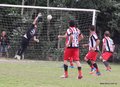IMG_9293