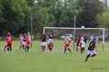 IMG_0451