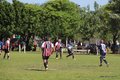 IMG_0466