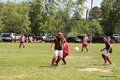 IMG_0460
